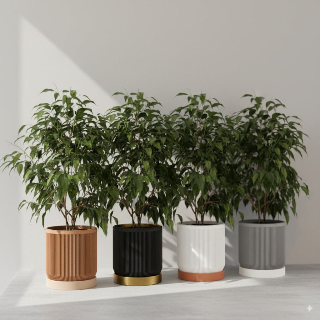 Modern Ribbed Planter with Tray – Dual Color