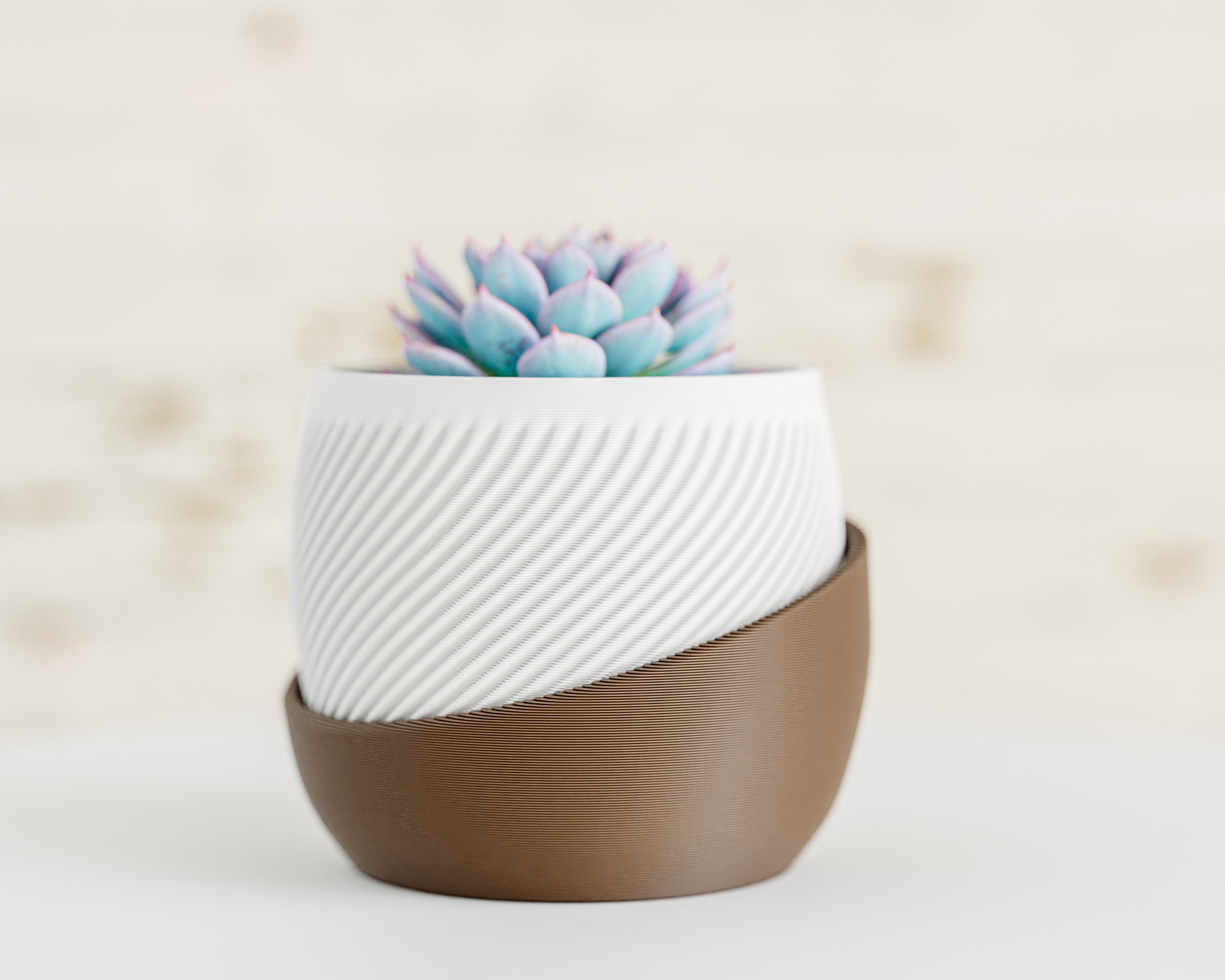 Modern Minimalist Spiral Planter with Matching Tray – Dual Tone Design