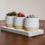Modern Minimalist Triple Planter Set with Tray – Dual-Tone Design