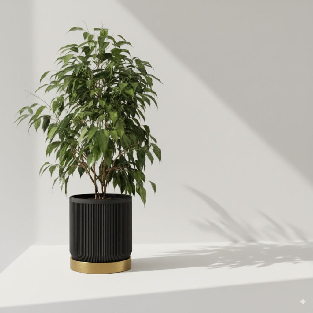 Modern Ribbed Planter with Tray – Dual Color