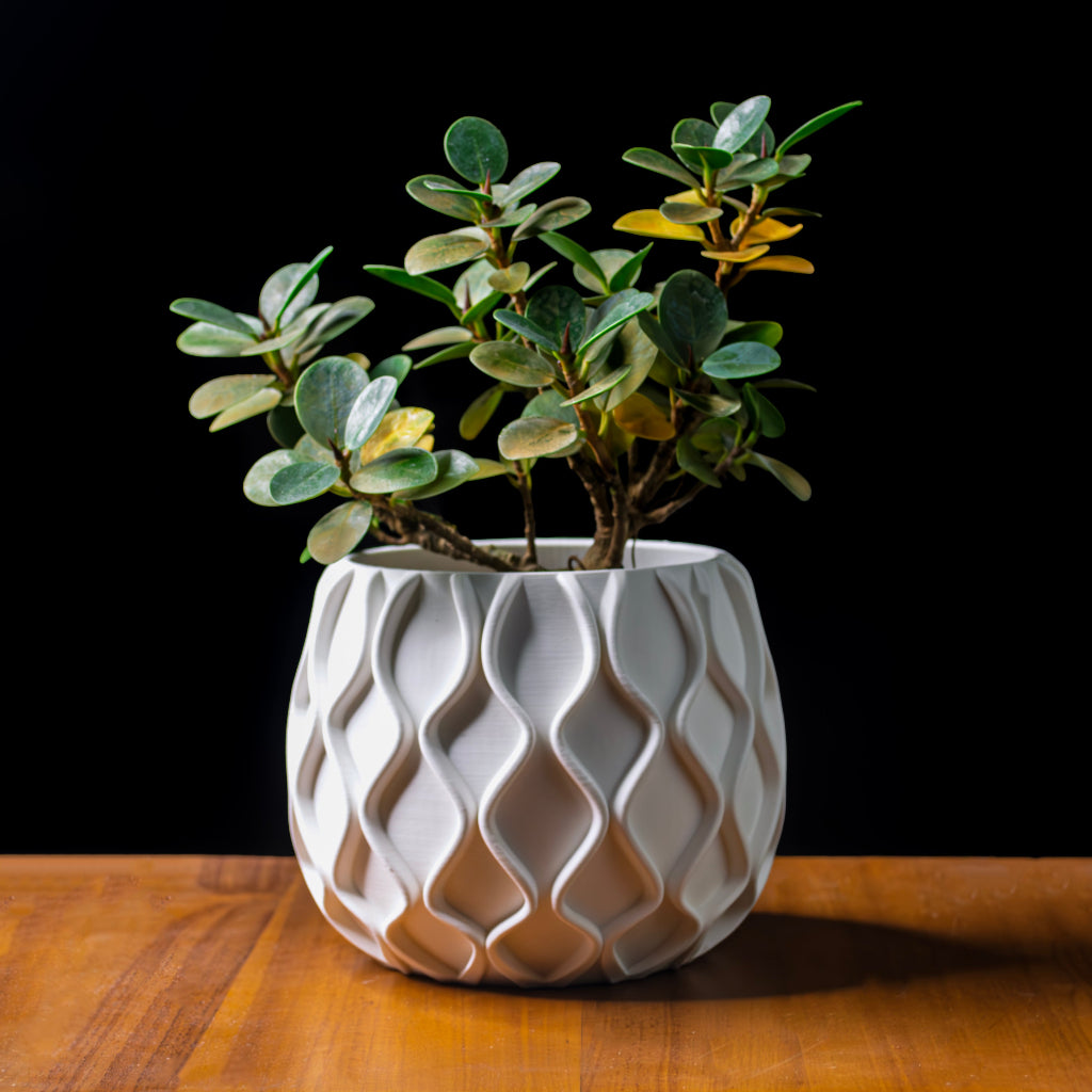 Modern Minimalist Wavy Planter – Classic & Premium Finish
