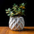 Modern Minimalist Wavy Planter – Classic & Premium Finish