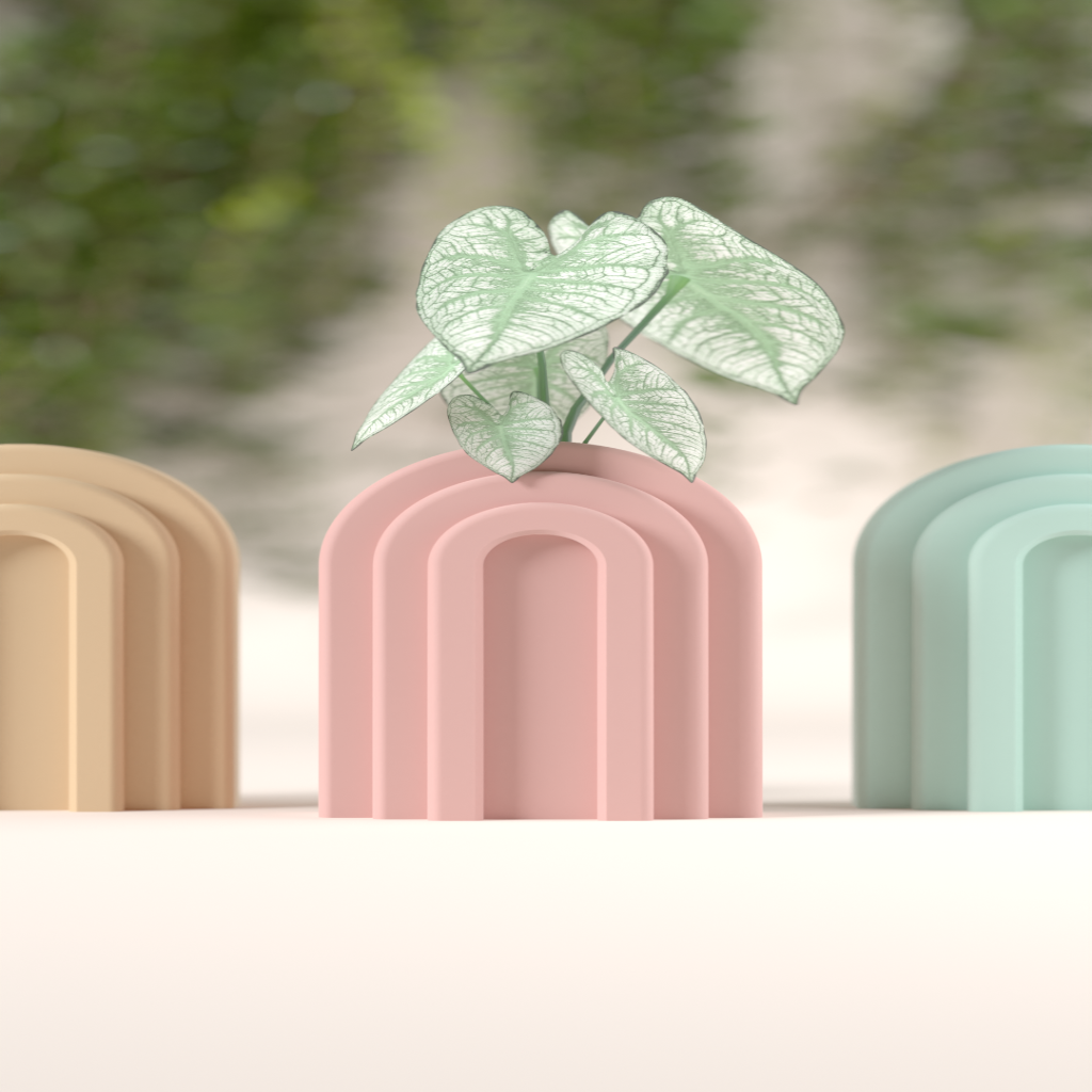 Modern Arch Vase – Minimalist Propagation Holder